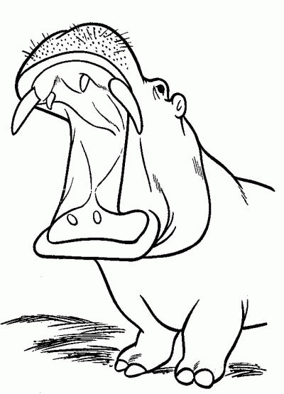 Angry Hippopotomus Coloring Page