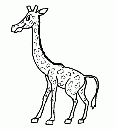 Baby Giraffe Coloring Page