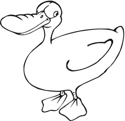 Big Billed Duck Coloring Page