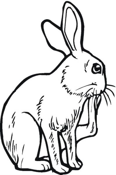 Big Footed Bunny Coloring Pages