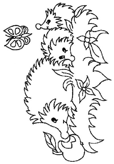 Butterfly and Hedgehog Coloring Page