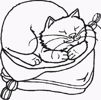 Cat Sleeping Domestic Animal Coloring Page