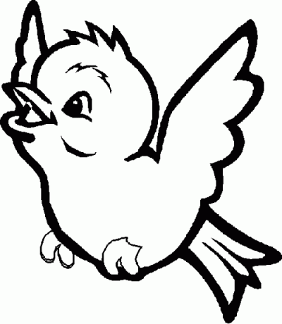 Chubby Bird Coloring Page