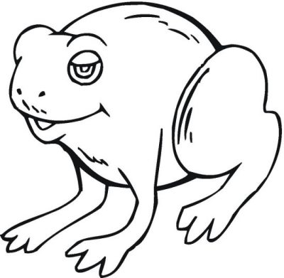Chubby Frog Coloring Page