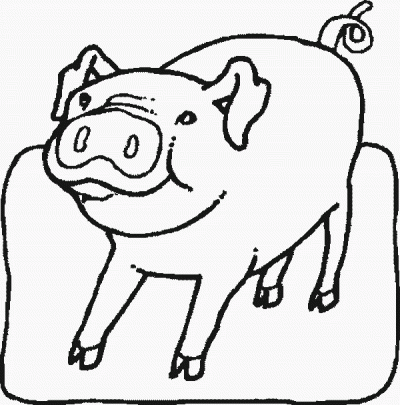 Chubby Pig Coloring Page