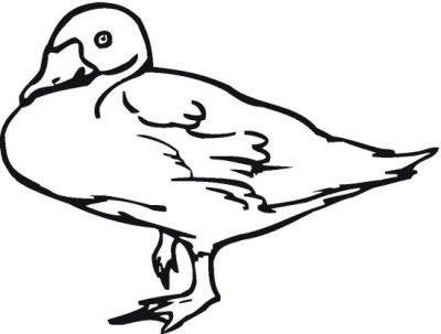 Classic Duck Coloring Page