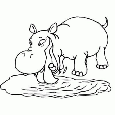 Drinking Hippopotomus Coloring Page