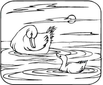 Duck Family Coloring Page