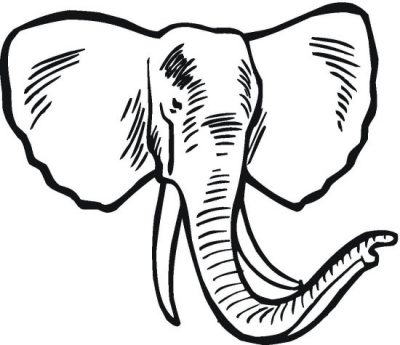 Elephant Tusk Coloring Page