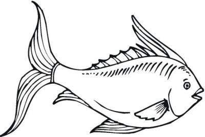 Fancy Fish Coloring Page