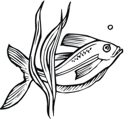 Fish and Plant Coloring Page