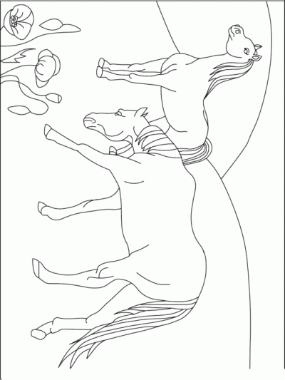 Flower Horse Coloring Page