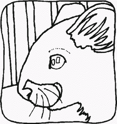 Hamster Domestic Animal Coloring Page