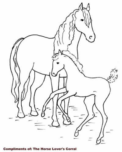 Horse and Colt Coloring Page