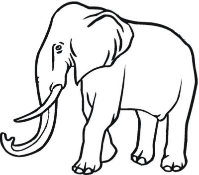 Majestic Elephant Coloring Page