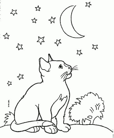 Moon and Kitten Coloring Page