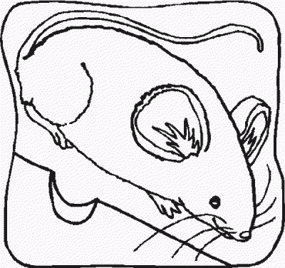 Mouse and Cheese Domestic Animal Coloring Page