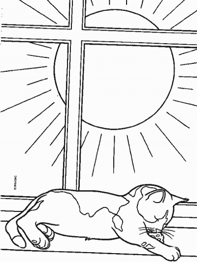 Napping Kitten Coloring Page