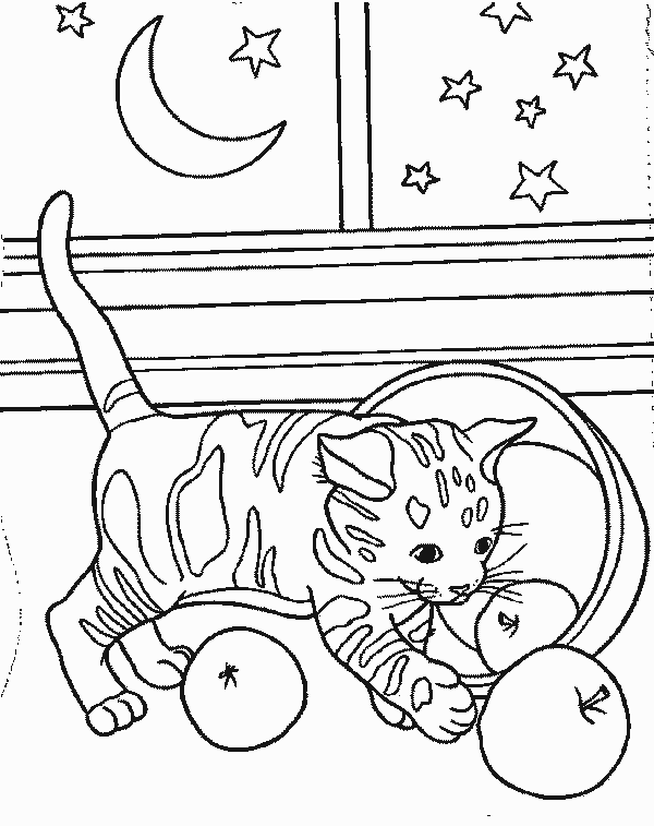 Night Time Kitten Coloring Page - Color Book