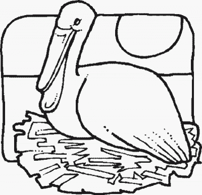 Pelican Fun Bird Coloring Pages