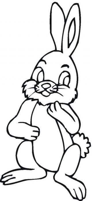 Peter Cotton Tail Bunny Coloring Page
