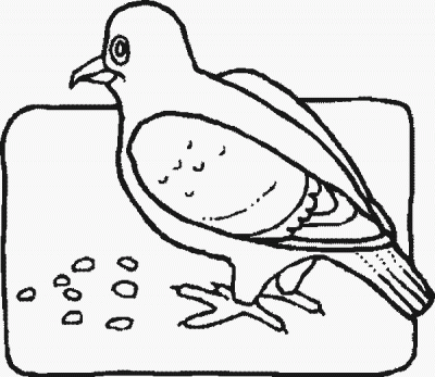 Pigeon Eating Fun Bird Coloring Pages