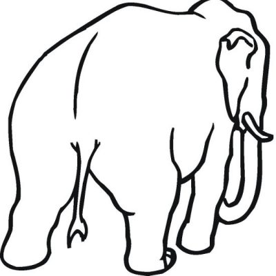 Rear of Elephant Coloring Page