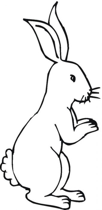 Right-facing Silhouette Bunny Coloring Page