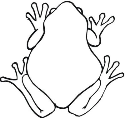 Science Class Frog Coloring Page