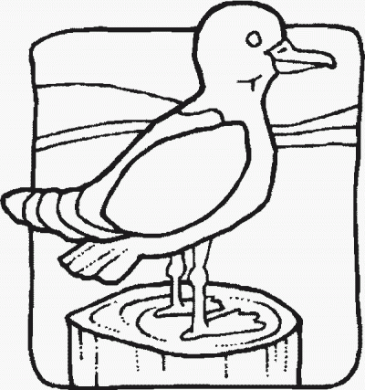 Segull on a Dock Fun Bird Coloring Pages
