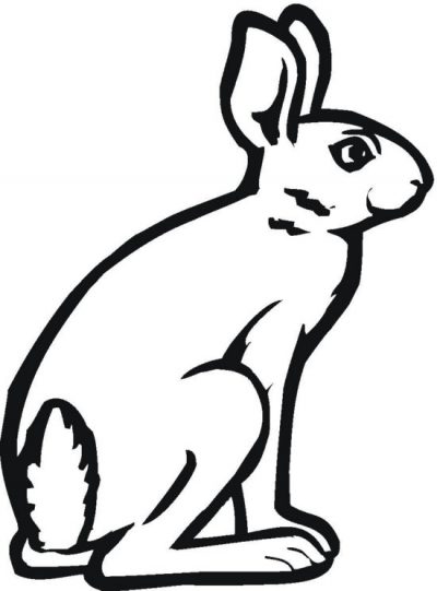 Sitting Bunny Coloring Page