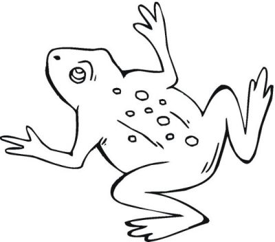 Spring Frog Coloring Page