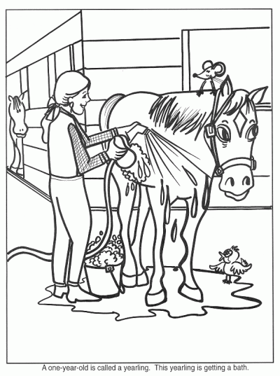 Bathing Horse Coloring Page