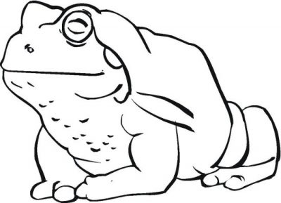 Croaking Frog Coloring Page