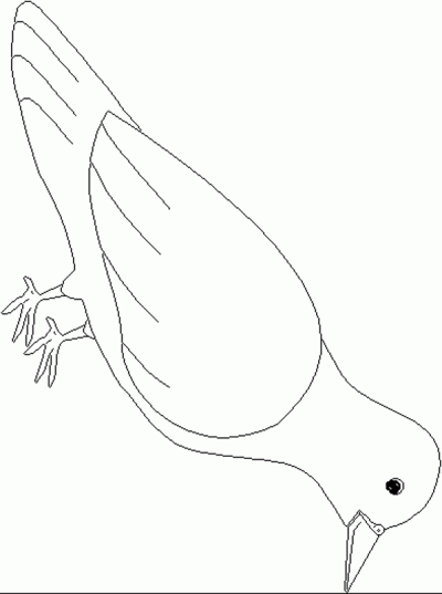 Doves Coloring Page