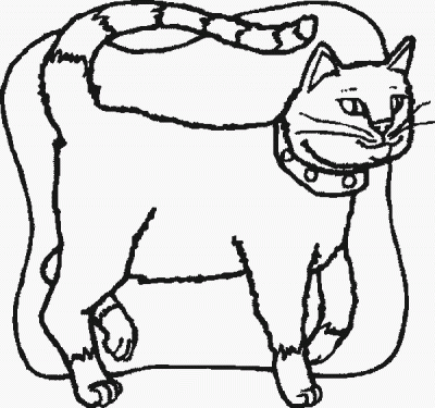 Fancy Cat Domestic Animal Coloring Page