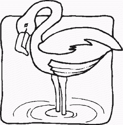 Flamingo Fun Bird Coloring Page