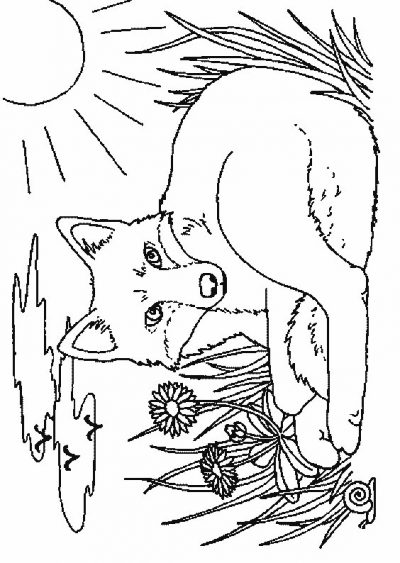 Fox and Flowers Coloring Page