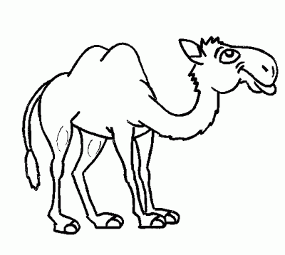 Happy Humpback Camel Coloring Page