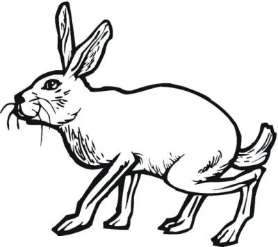 Hopping Bunny Coloring Page