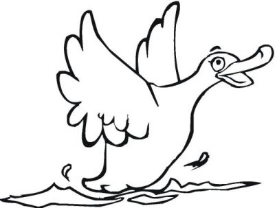 Landing Duck Coloring Page