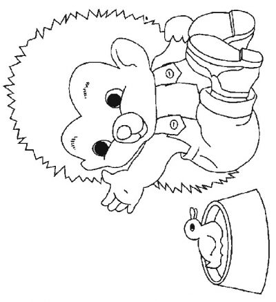 Little Boy Baby Hedgehog Coloring Page