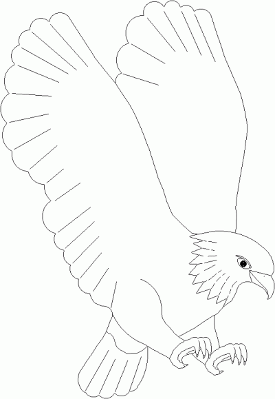 Majestic Eagle Coloring Page