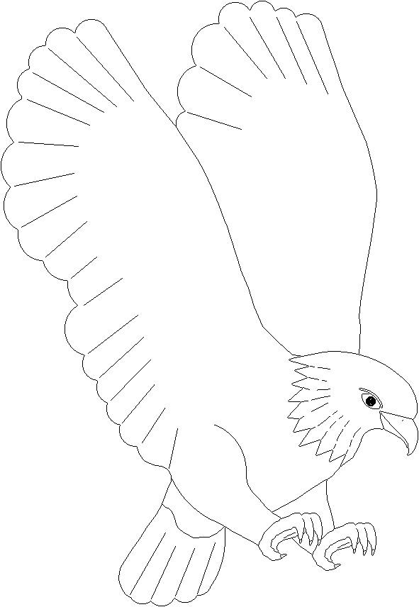 majestic animal coloring pages - photo #33
