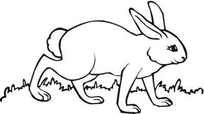 Missy Bunny Coloring Page