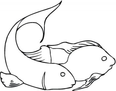 Pair of Fish Coloring Page