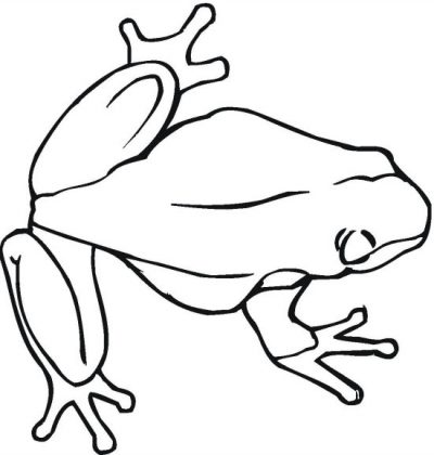 Plain Frog Coloring Page