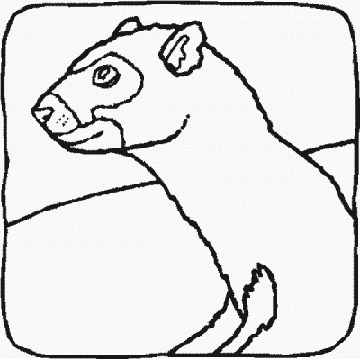 Playing Ferret Domestic Animal Coloring Page