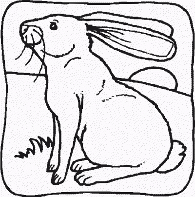 Rabbit in the Grass Domestic Animal Coloring Page