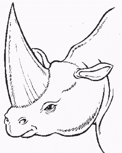 Rhino Looking Dinosaur Coloring Page